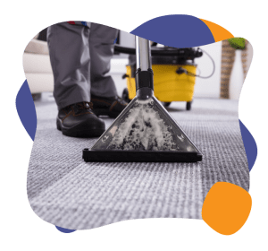 Extracting Water From Cleaned Carpet